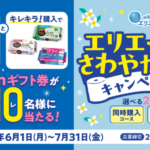 大王製紙 エリエールdeさわやかトイレキャンペーン