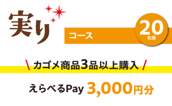 えらべるPay3,000円分