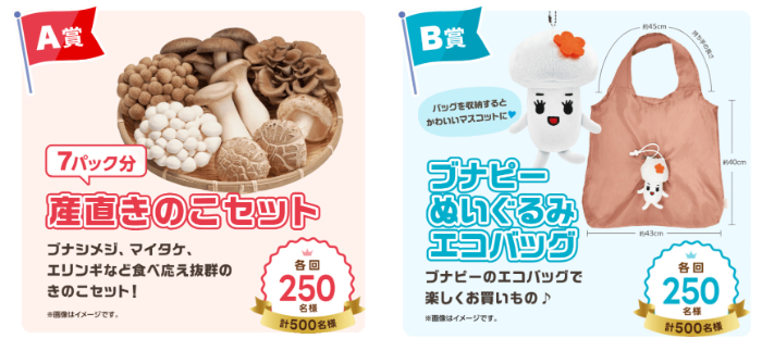 産直きのこセット、ブナピーぬいぐるみエコバッグ