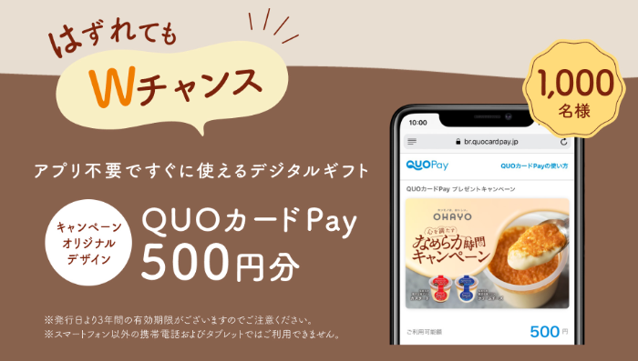 QUOカードPay 500円分