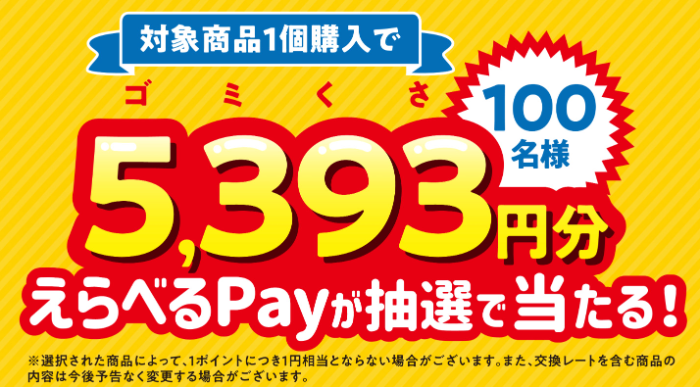 えらべるPay 5,393円分