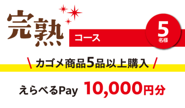 えらべるPay1万円分