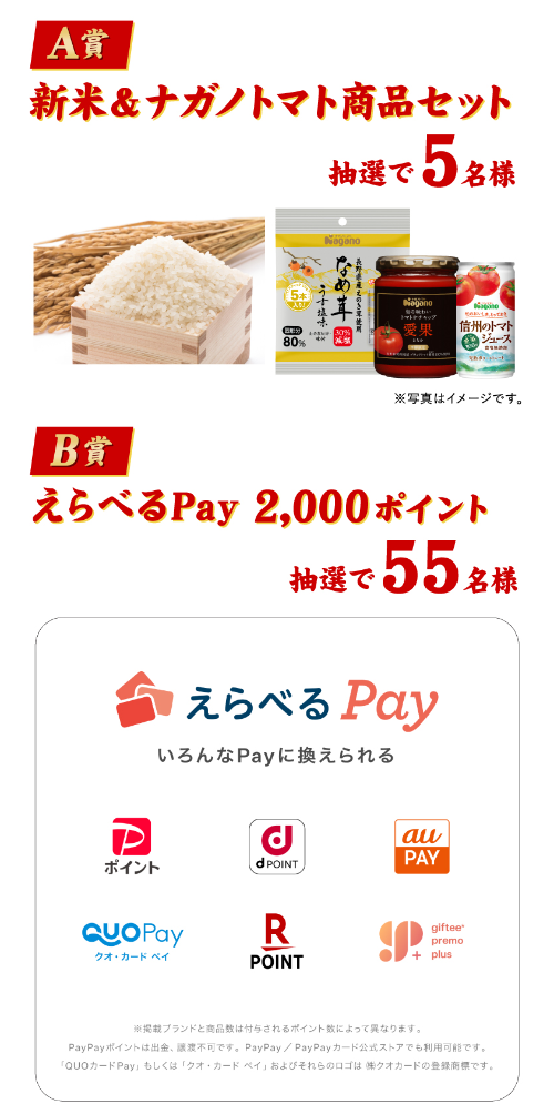 新米＆ナガノトマト商品セット、えらべるPay 2,000ポイント