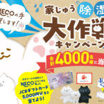 白元アース ドライ&ドライUP NECO NECOの手貸します！家じゅう除湿大作戦キャンペーン