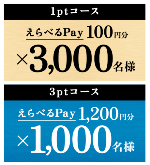 えらべるPay最大1,200円分