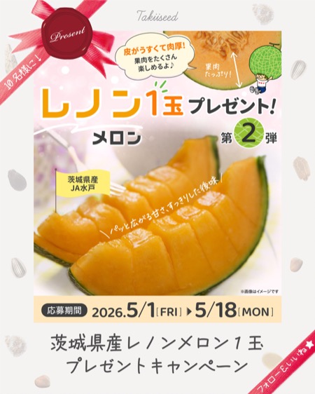 茨城県産 レノンメロン 1玉が当たるInstagramキャンペーン