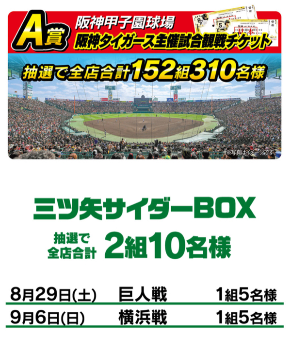 阪神タイガース観戦チケット1