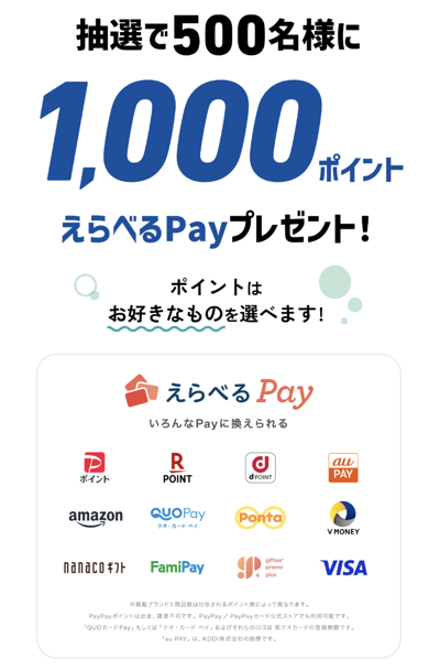えらべるPay1,000ポイント