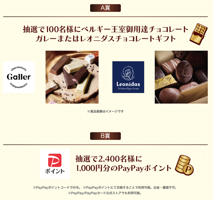 チョコレートギフト、PayPayポイント1,000円分