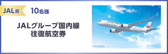 国内線往復航空券
