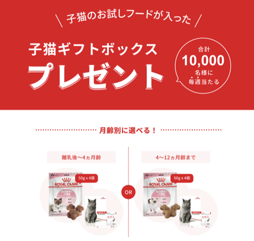ロイヤルカナン 子猫用フード サンプルが当たるキャンペーン