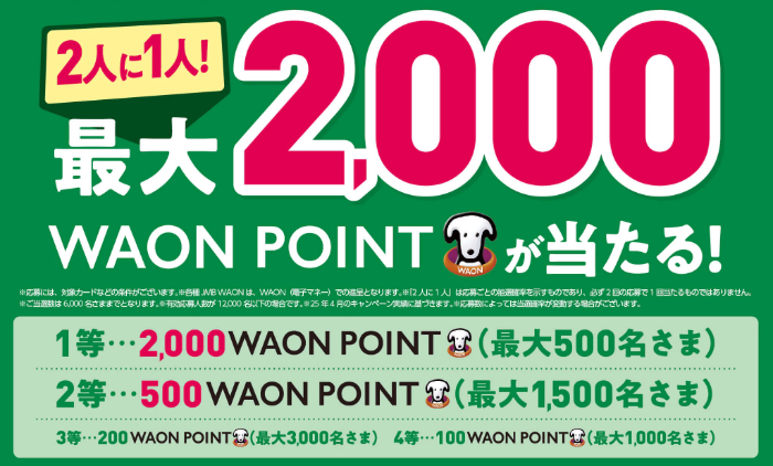 WAON POINT 最大2,000円分