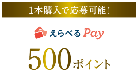 えらべるPay500ポイント