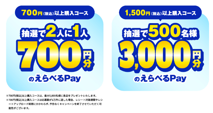 えらべるPay最大3,000円分