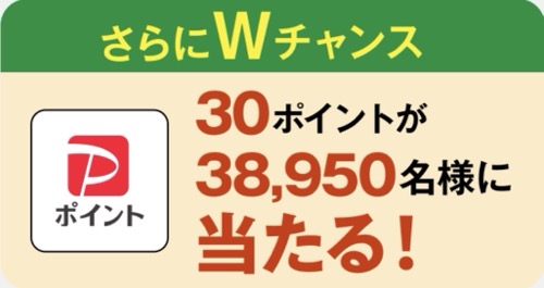 PayPayポイント 30ポイント