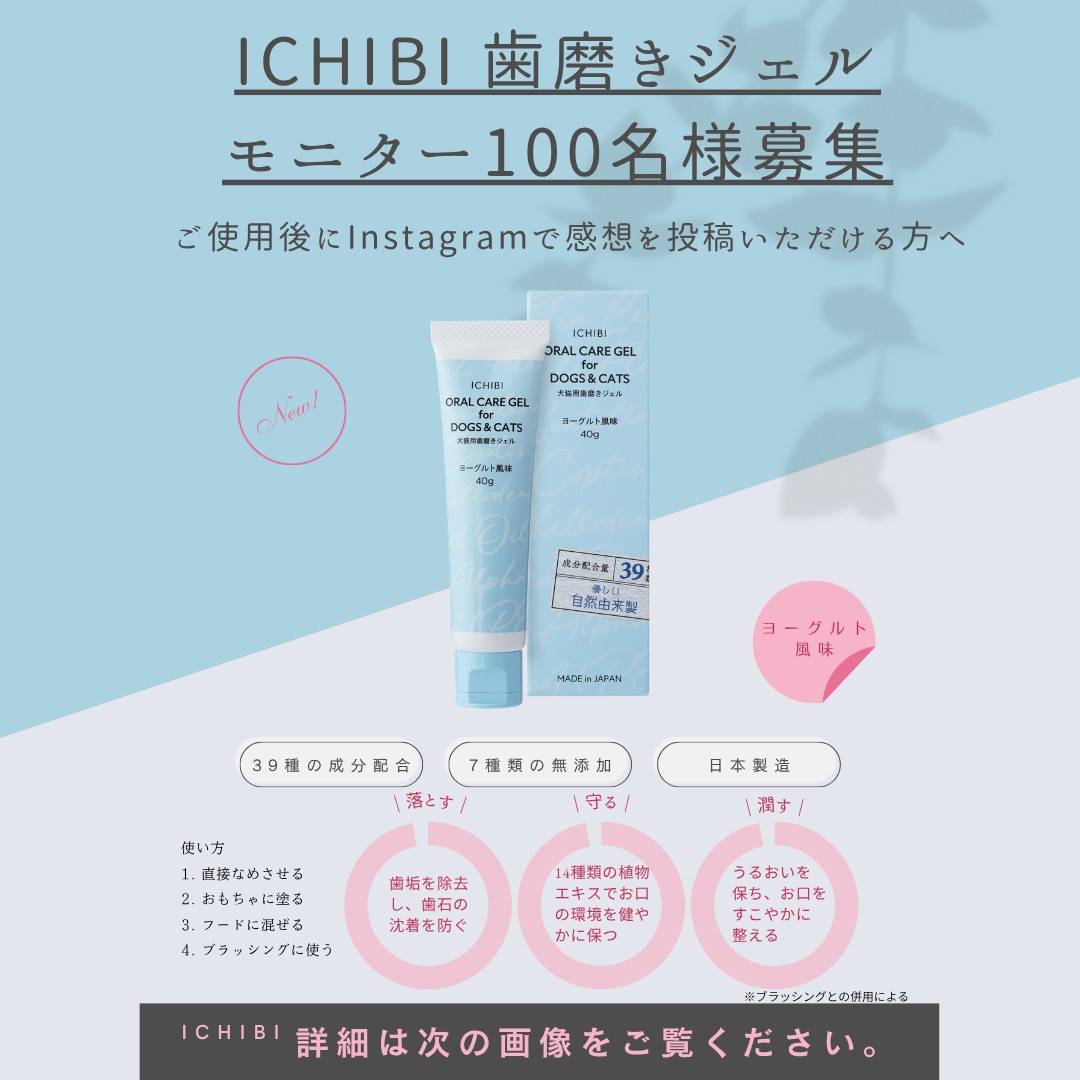 ICHIBI 犬猫用歯磨きジェルが当たるInstagramキャンペーン