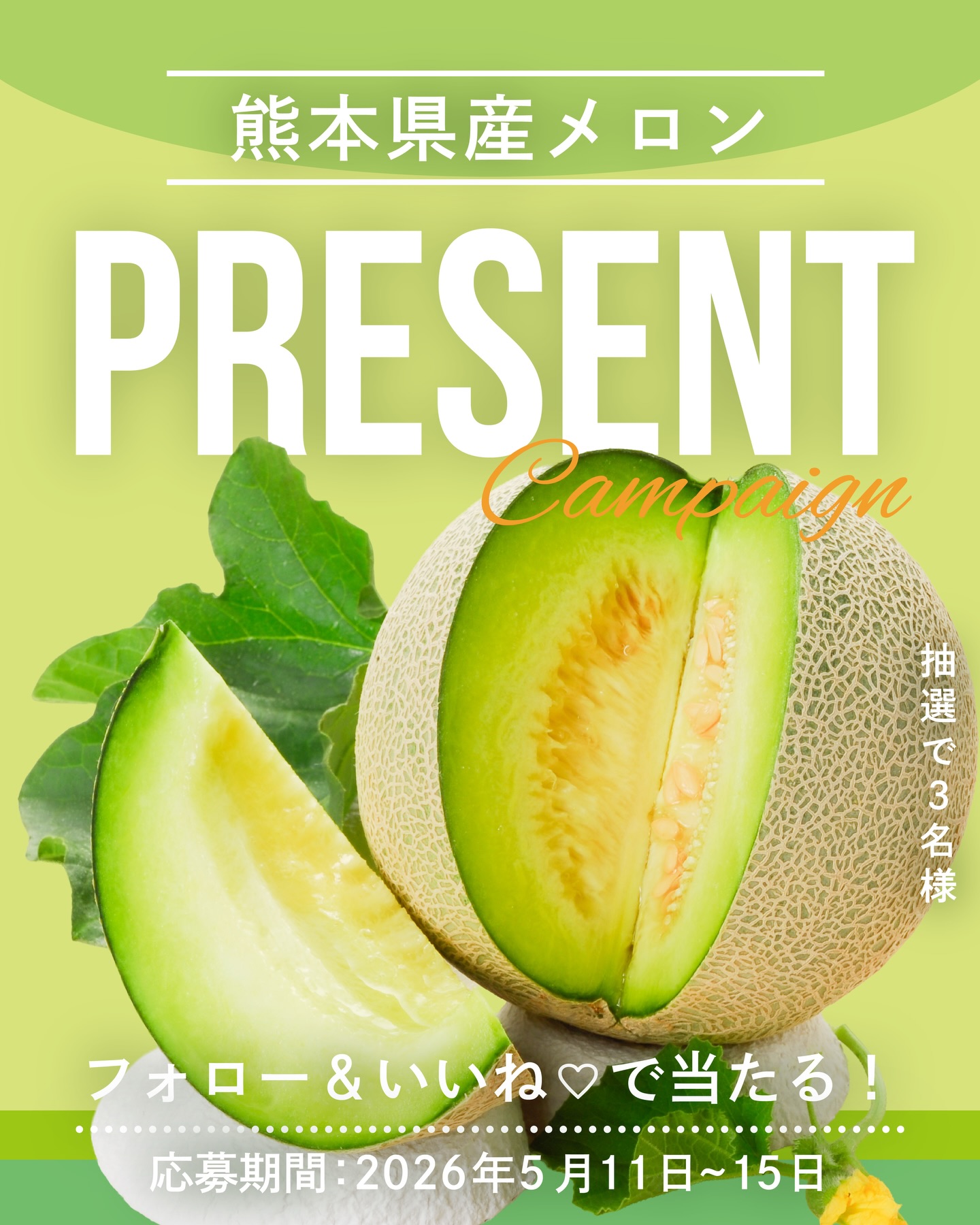 熊本のメロンが当たるInstagramキャンペーン