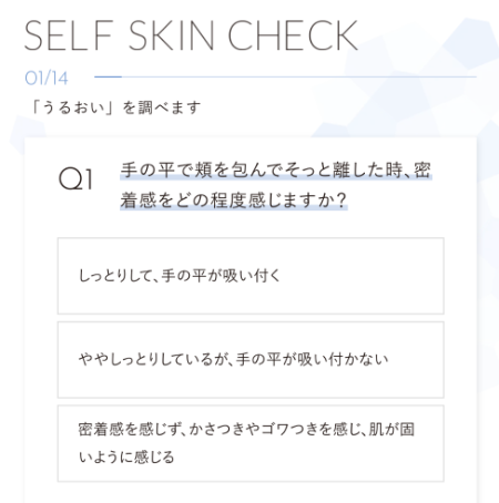 セルフスキンチェックの質問