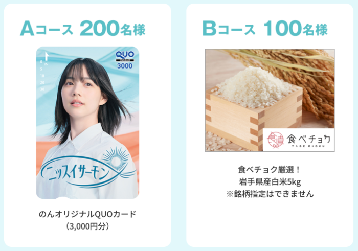 のん オリジナルデザインQUOカード3,000円分、白米5kg