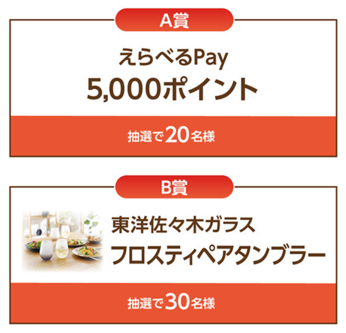 えらべるPay 5,000ポイント、フロスティペアタンブラー