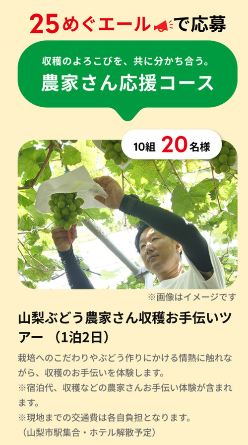旬の果実、農家さん収穫お手伝いツアー２