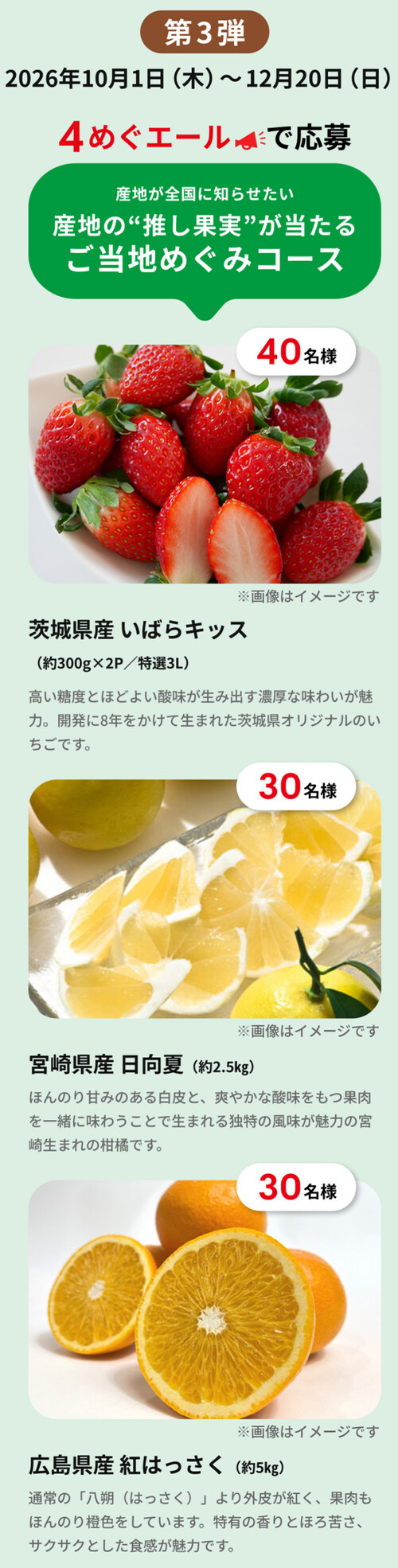 旬の果実、農家さん収穫お手伝いツアー４