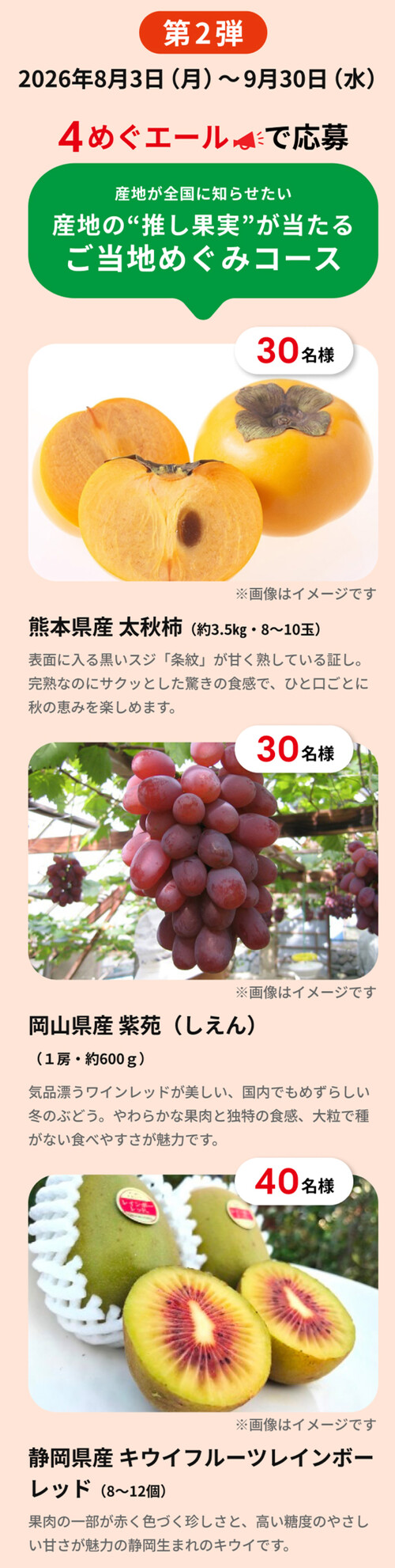 旬の果実、農家さん収穫お手伝いツアー３