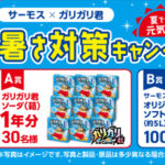 サーモス サーモス×ガリガリ君 夏でも元気に!暑さ対策キャンペーン