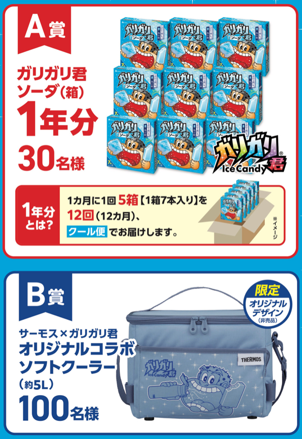 ガリガリ君 1年分、ソフトクーラー