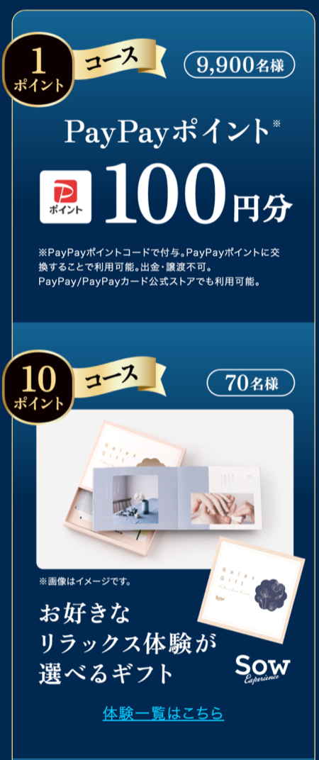 PayPayポイント100円分、体験カタログギフト、リカバリーウェア１