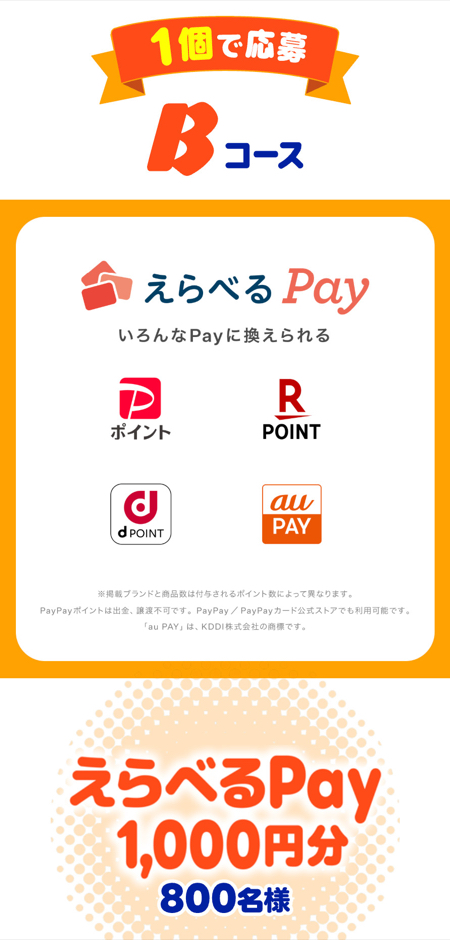 G-SHOCK、えらべるPay1,000円分2