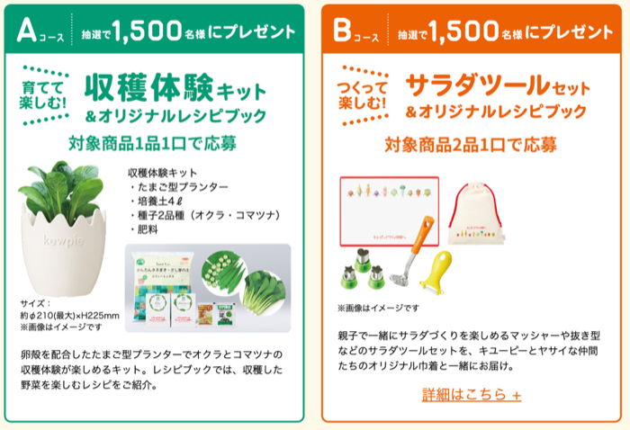収穫体験キット、サラダツールセット