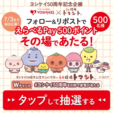 えらべるPay 500ポイント、家電がその場で当たるXキャンペーン