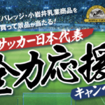 イオングループ×キリンビバレッジ・小岩井乳業 【全国エリア】キリンビバレッジ・小岩井乳業商品を買って景品が当たる！『サッカー日本代表 全力応援キャンペーン！』