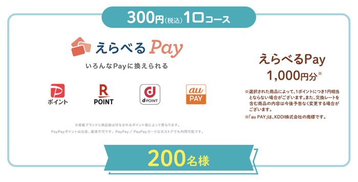 電気圧力鍋+麦小町 ロース、えらべるPay1,000円分2