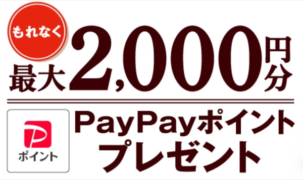 PayPayポイント最大2,000円分
