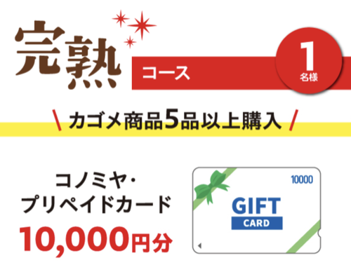 コノミヤ・プリペイドカード 最大10,000円分1