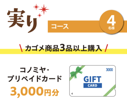 コノミヤ・プリペイドカード 最大10,000円分2