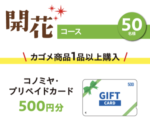 コノミヤ・プリペイドカード 最大10,000円分3