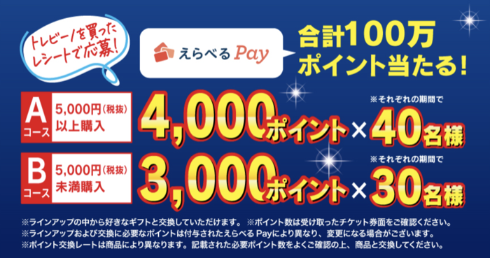 えらべるPay 最大4,000ポイント