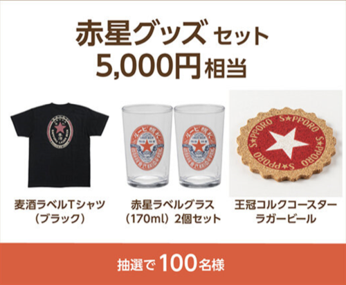 赤星グッズ セット 5,000円相当