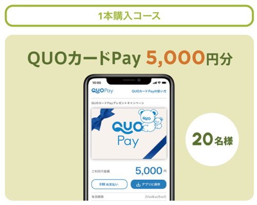 QUOカードPay最大2万円分、VERMICULAR オーブンポット2など2
