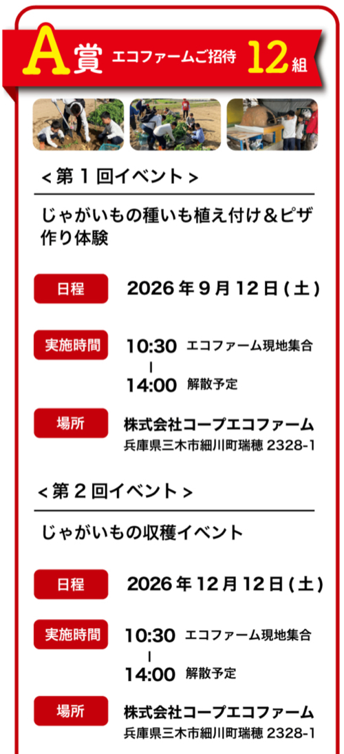 エコファームご招待、コーピーポイント500円分1