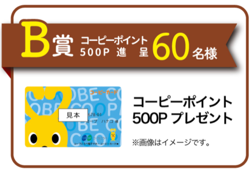 エコファームご招待、コーピーポイント500円分2