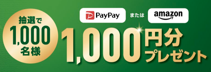 選べるデジタルギフト1,000円分