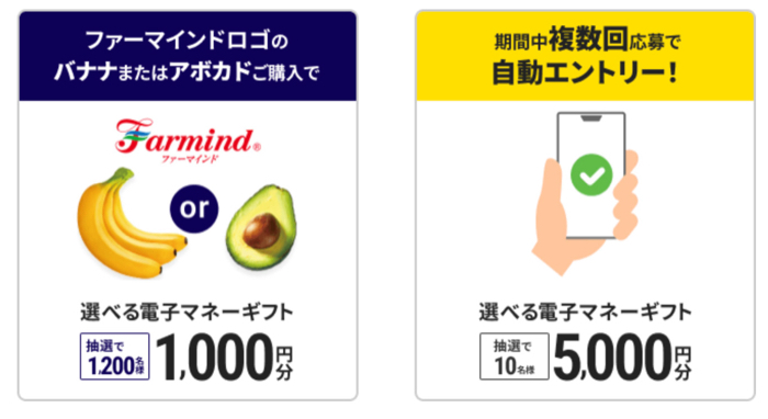 選べる電子マネーギフト最大5,000円分１