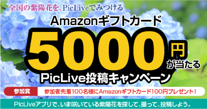 Amazonギフト券最大5,000円分が当たるキャンペーン