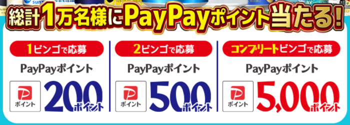 PayPayポイント最大5,000ポイント