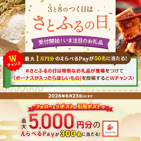 えらべるPay最大1万円分がその場で当たるXキャンペーン