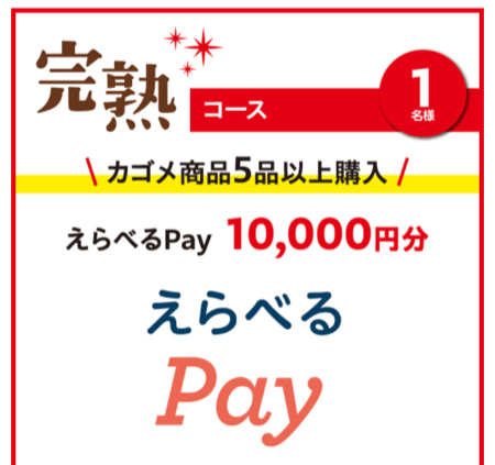 えらべるPay最大1万円分１